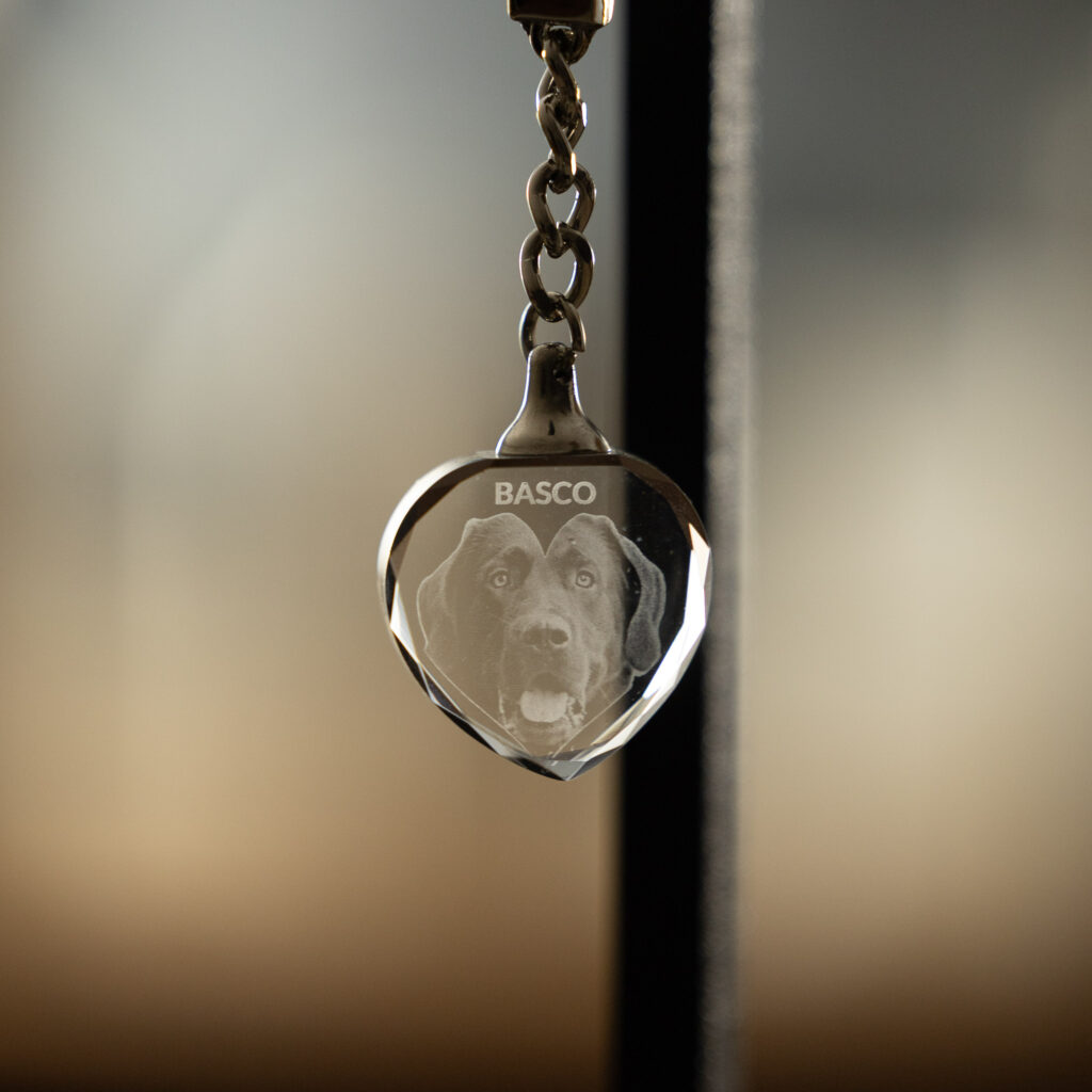 Fotokristalle_Sockel_Fotografie-10