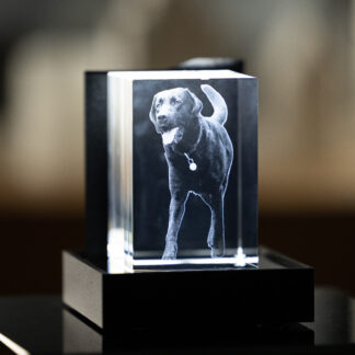 Portrait Kristall Rechteck (60 x 90 x 60mm) mit LED-Sockel